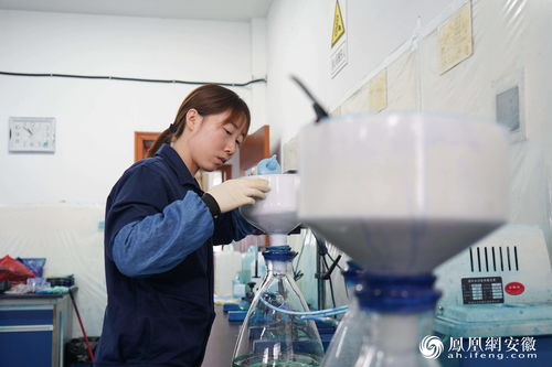 專注有機(jī)顏料研發(fā)，為宣城工業(yè)強(qiáng)市戰(zhàn)略增色添彩